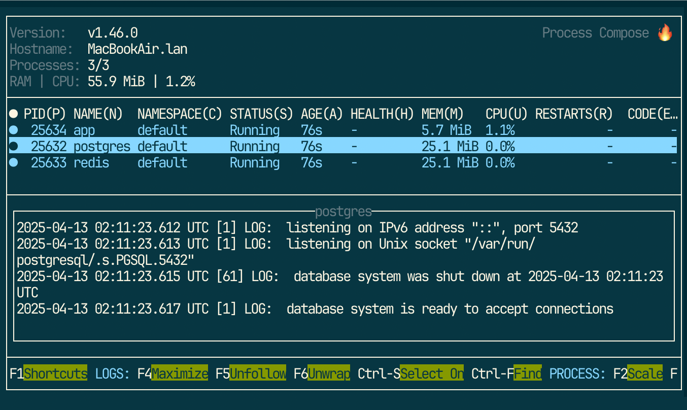 process-compose terminal